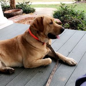 Meet your Posher, Morgan